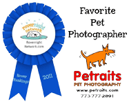 Rovernight Network 2011 Favorite Pet Photographer Award
